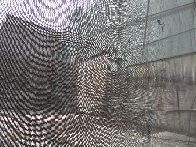 f:id:fromheartland:20250515073112j:image