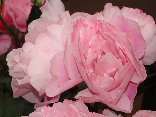 f:id:fromheartland:20250527033538j:image