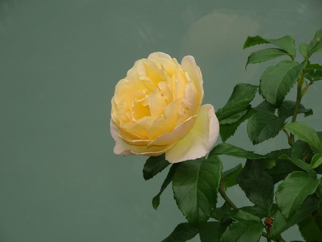 f:id:fromheartland:20250527035635j:image