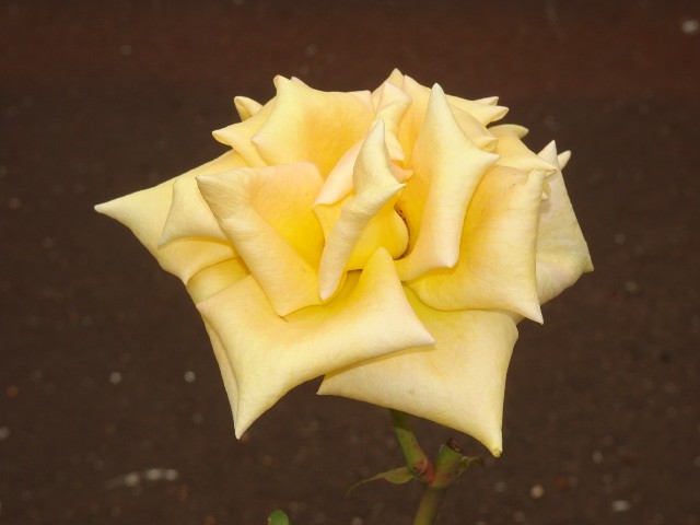 f:id:fromheartland:20250527040055j:image