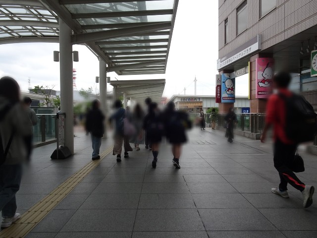 f:id:fromheartland:20250529044131j:image