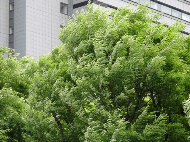f:id:fromheartland:20250605034251j:image