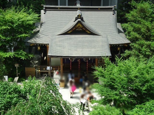 f:id:fromheartland:20250611013547j:image