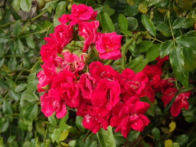 f:id:fromheartland:20250805045018j:image