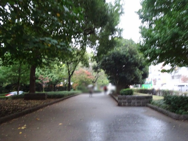 f:id:fromheartland:20251107063657j:image f:id:fromheartland:20251107063657j:image