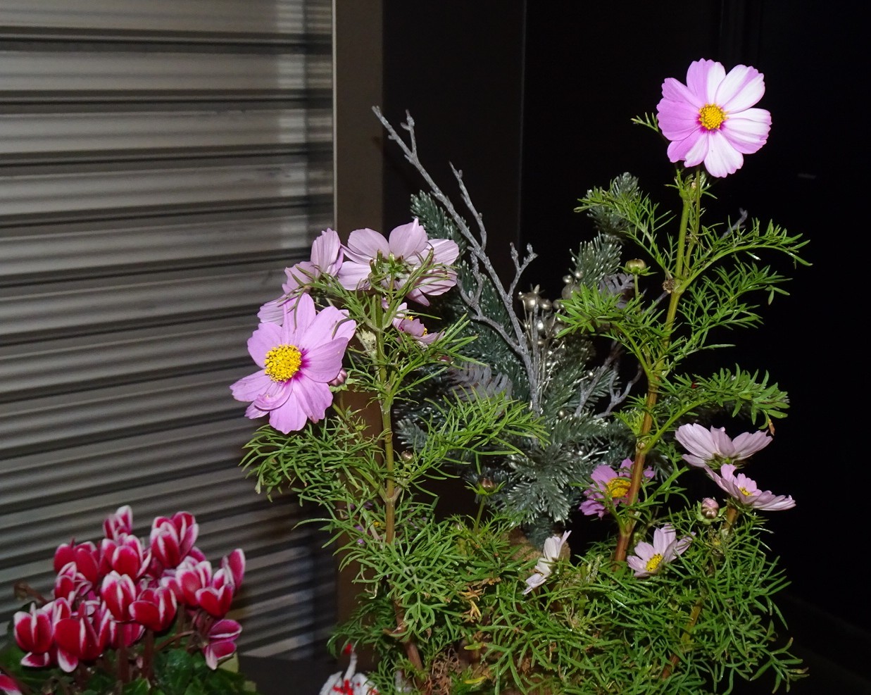 f:id:fromheartland:20251123033845j:image