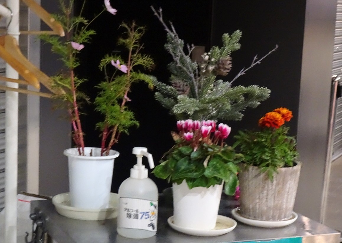 f:id:fromheartland:20260106010447j:image