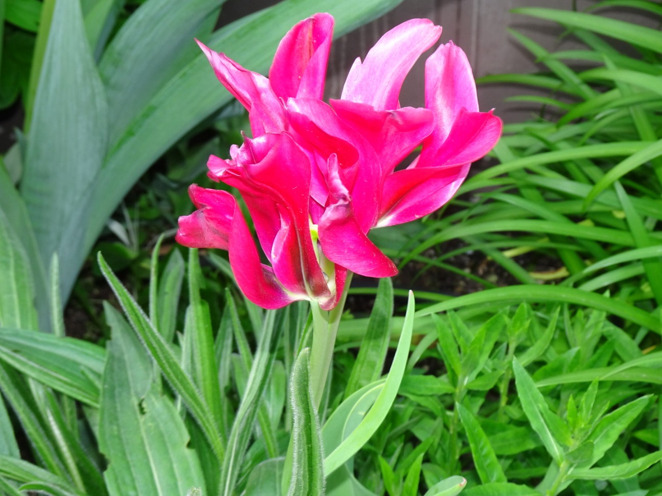 f:id:fromheartland:20260417061410j:image