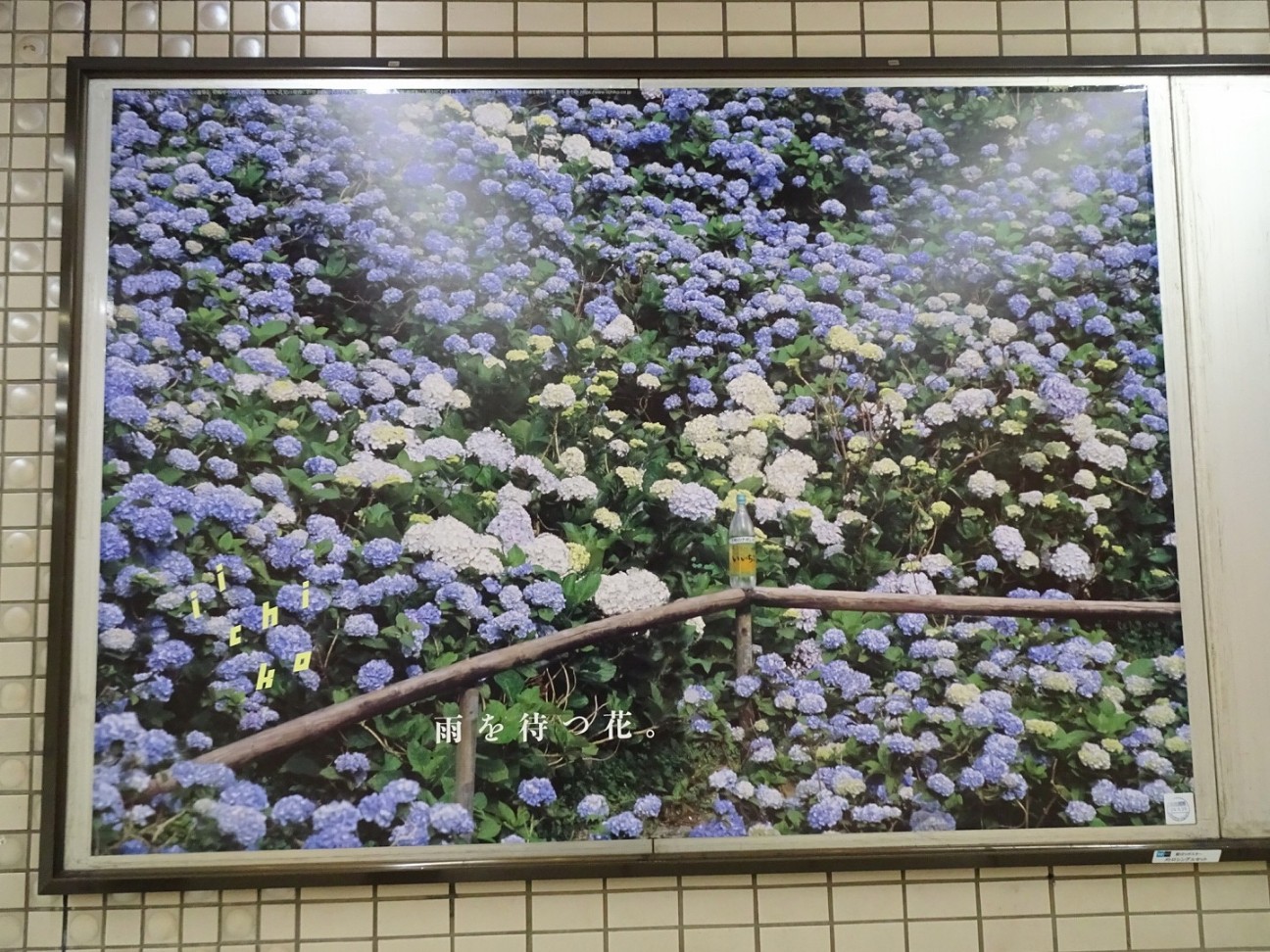 f:id:fromheartland:20260523060706j:image