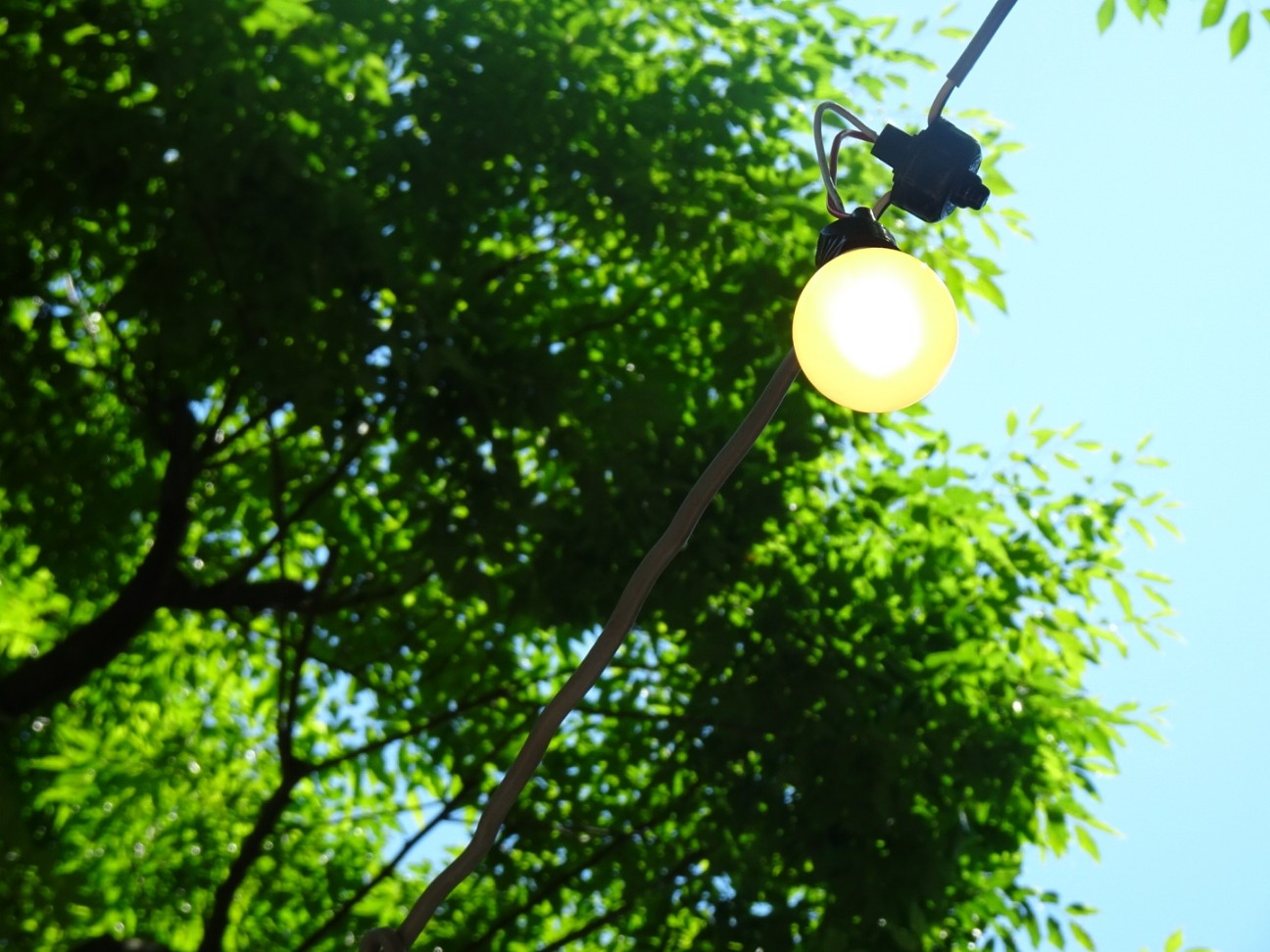 f:id:fromheartland:20260526061156j:image f:id:fromheartland:20260526061156j:image