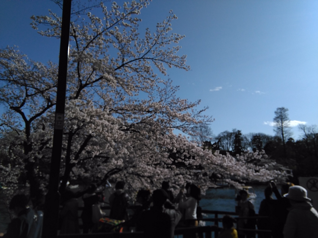 f:id:fromkishibe:20170409204650j:plain
