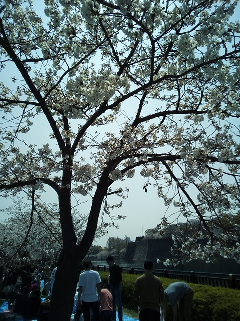 f:id:fromkishibe:20190410162032j:plain
