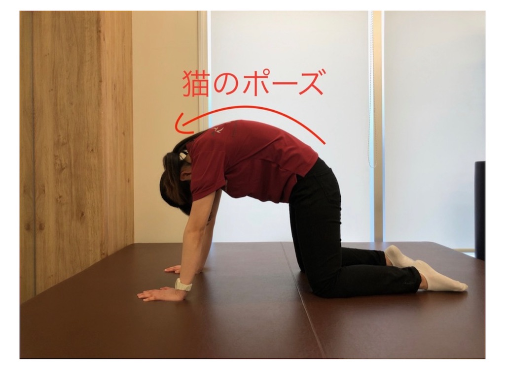 f:id:fromlowbackpain:20210809195109j:image f:id:fromlowbackpain:20210809195109j:image