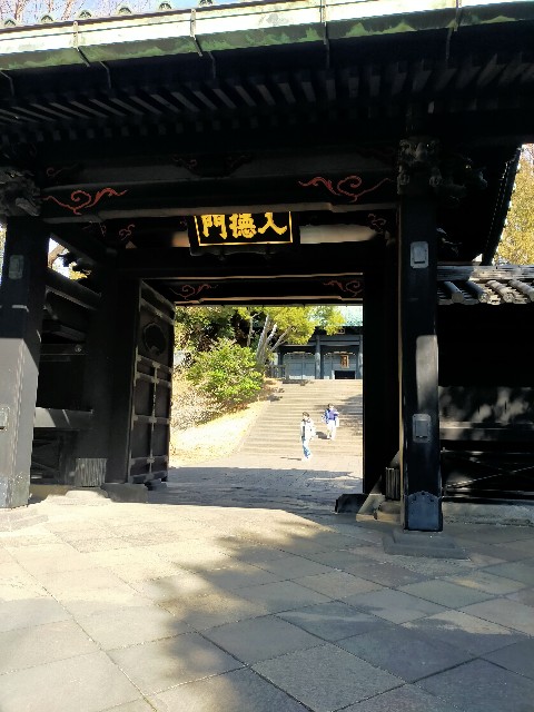 f:id:fromthecornerofthegalaxy:20240210194141j:image