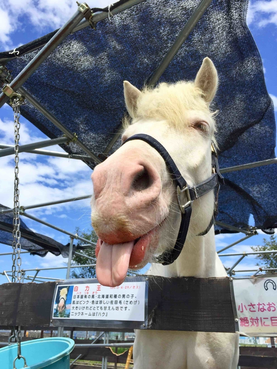 f:id:frontierumako:20191114154343j:plain f:id:frontierumako:20191114154343j:plain