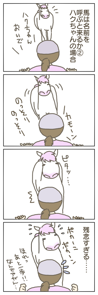 馬は名前を呼ぶと来るかどうか ハクちゃんの場合 富山で馬の牧場はじめました