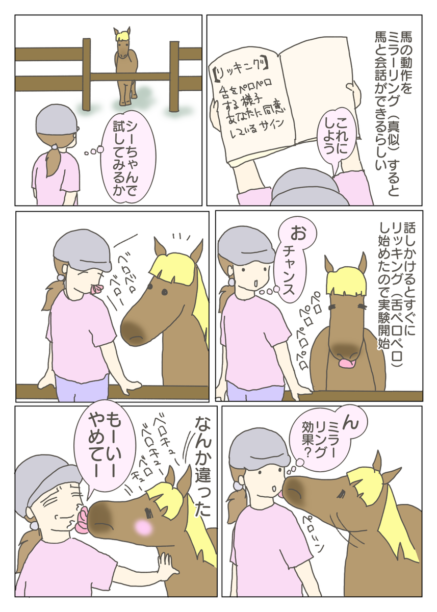 馬と仲良くなるにはミラーリングがいいらしい ウソか本当か 富山で馬の牧場はじめました