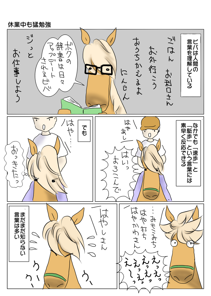 馬は人の言葉をどこまで理解しているのだろうか 富山で馬の牧場はじめました 馬は人の言葉をどこまで理解しているのだろうか 富山で馬の牧場はじめました