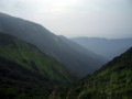 夏の伊吹山