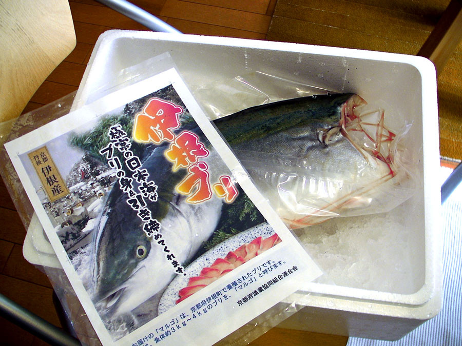  今年も実家からブリがとどきました。片身、でっかい！
