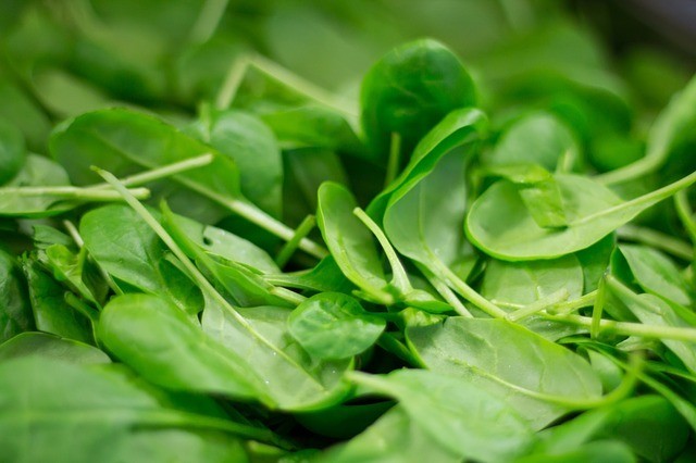 f:id:frontline:20131231203452j:plain