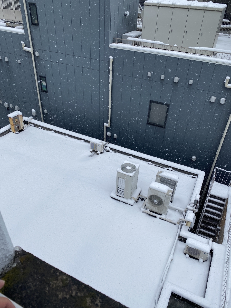 f:id:frozen-tuna:20211229231529j:plain