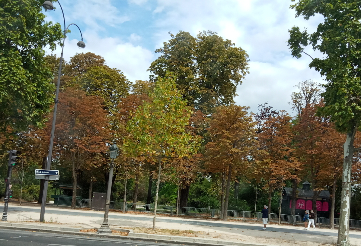 f:id:frozen_float:20200808021015p:plain f:id:frozen_float:20200808021015p:plain