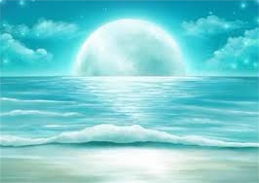 f:id:fruitbell13:20220616192237j:image