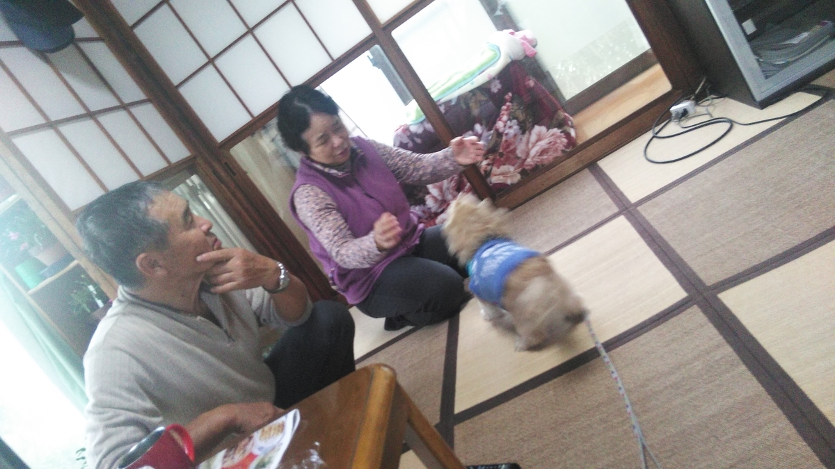 f:id:fruitmix:20191124174631j:plain