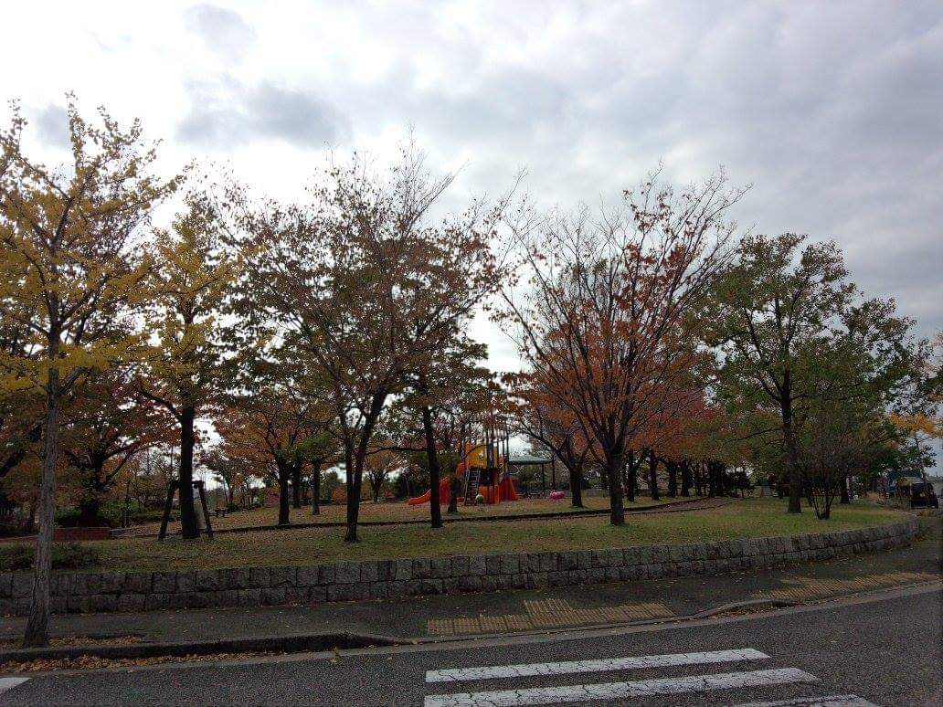 f:id:fruitmix:20191208011724j:plain