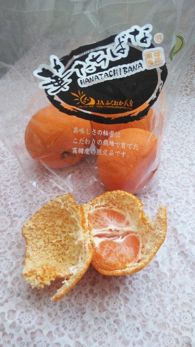 f:id:fruitmix:20191217011637j:plain