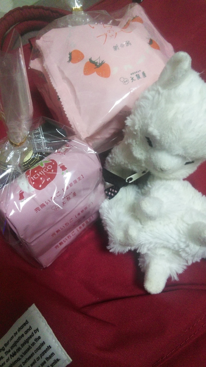 f:id:fruitmix:20191225063343j:plain