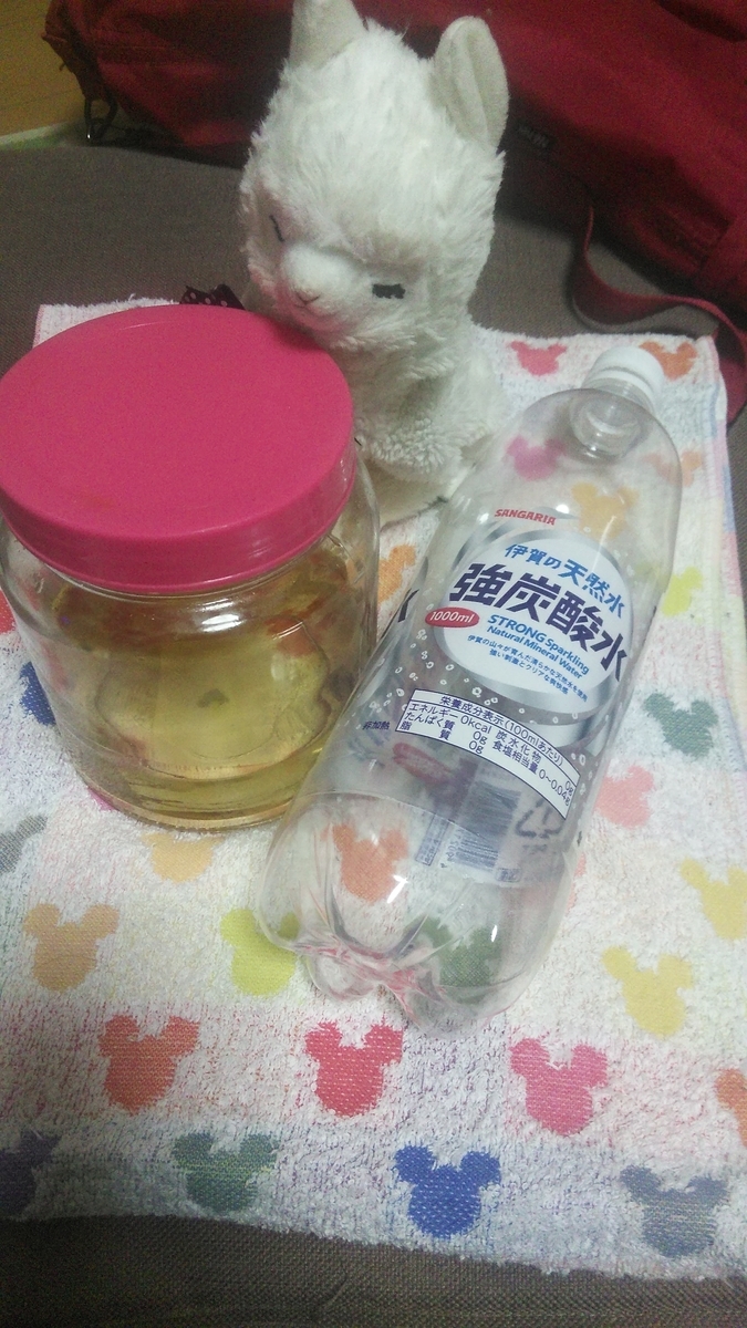 f:id:fruitmix:20191225194918j:plain