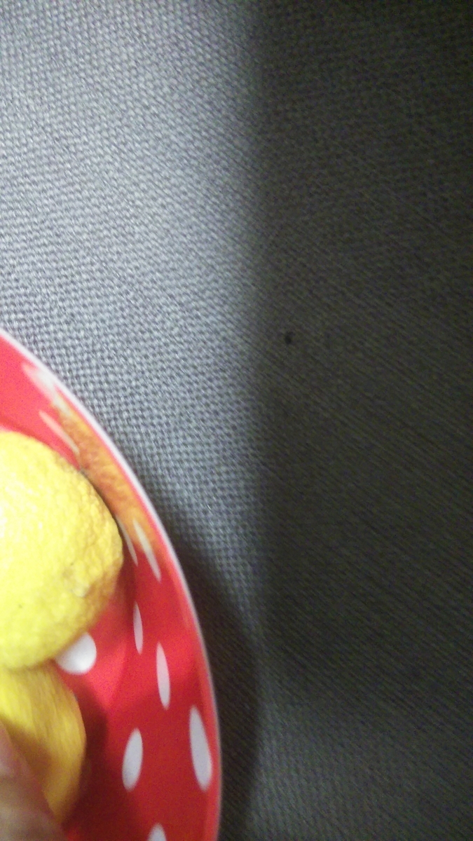 f:id:fruitmix:20191229013414j:plain