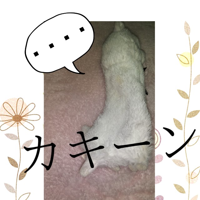 f:id:fruitmix:20200509010607j:plain