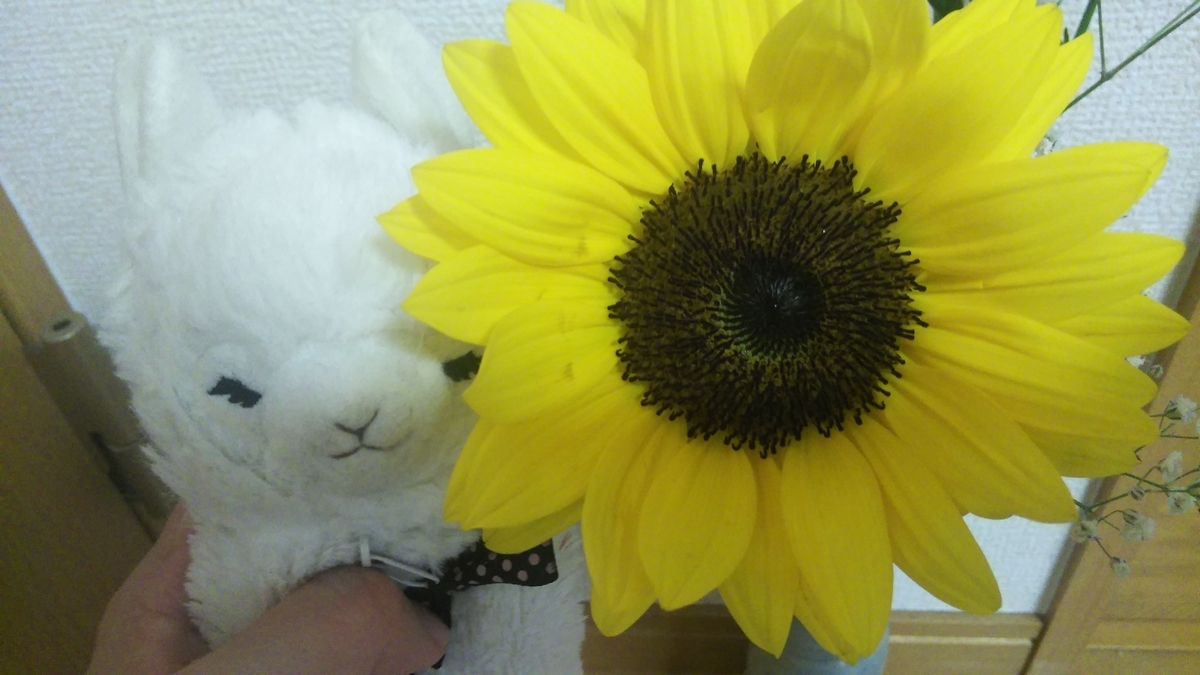 f:id:fruitmix:20200701022603j:plain