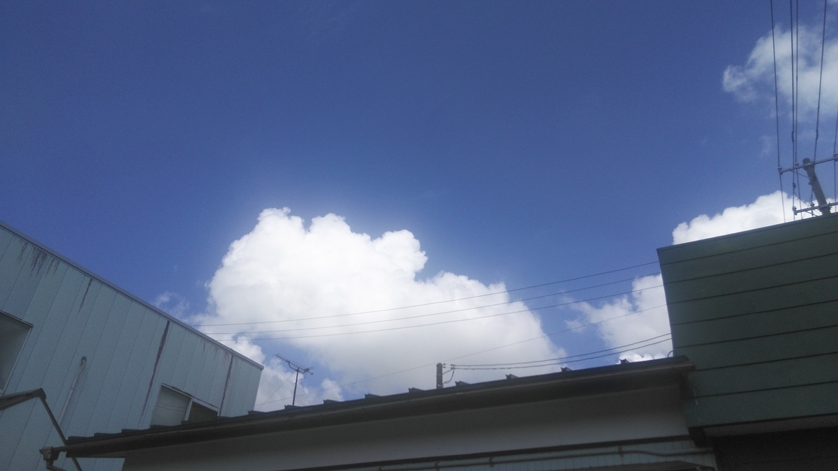 f:id:fruitmix:20200903004540j:plain