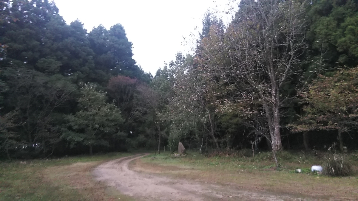 f:id:fruitmix:20201102063017j:plain