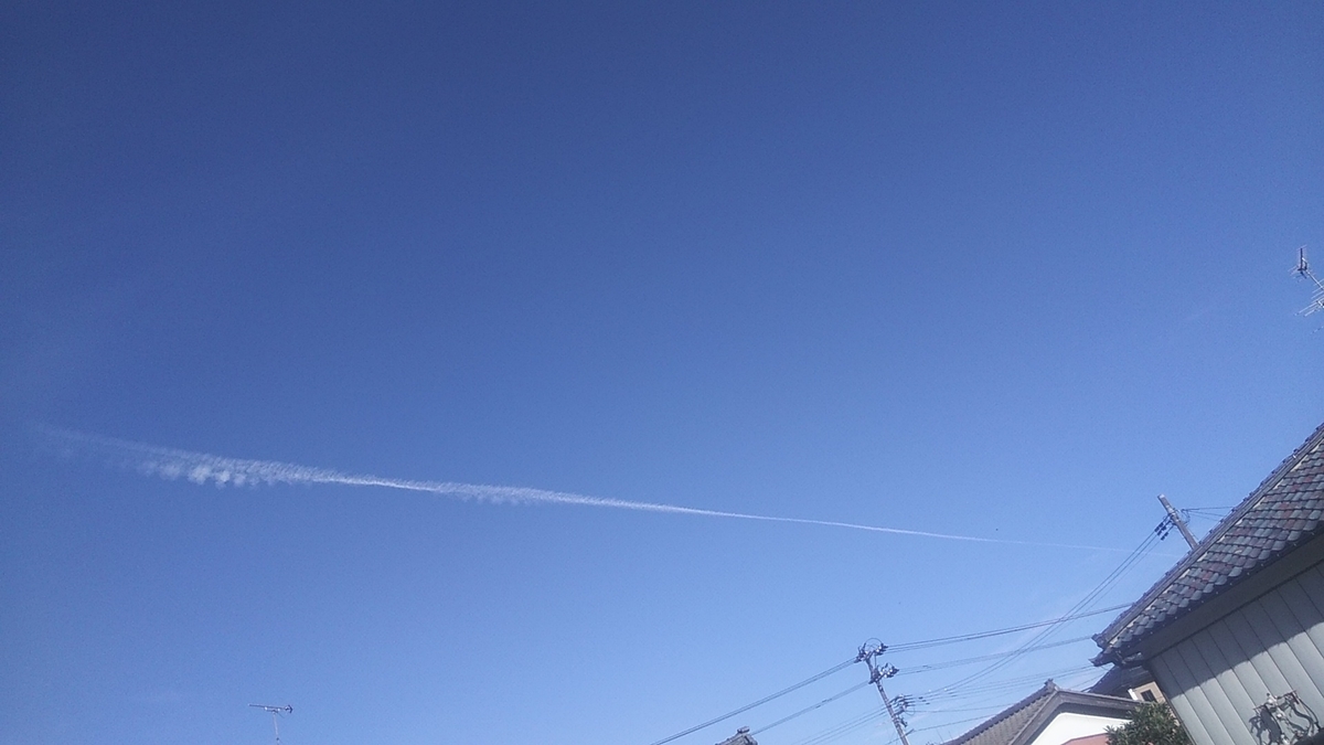 f:id:fruitmix:20201115194656j:plain