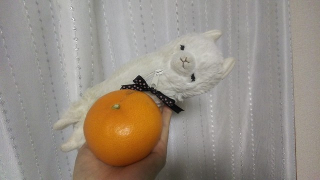 f:id:fruitmix:20210311070815j:image