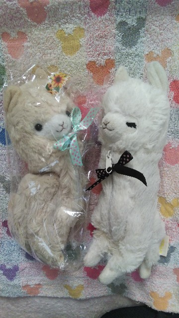 f:id:fruitmix:20210611100230j:image f:id:fruitmix:20210611100230j:image