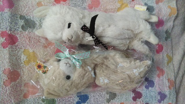 f:id:fruitmix:20210611100355j:image f:id:fruitmix:20210611100355j:image