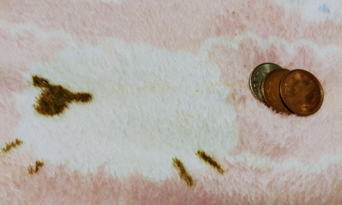 f:id:fruitmix:20220113113836j:plain