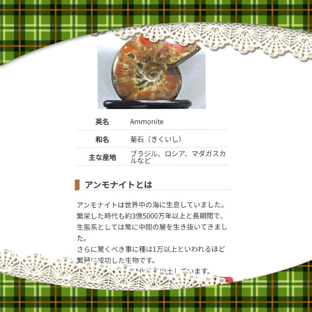 f:id:fruitmix:20220121220329j:plain