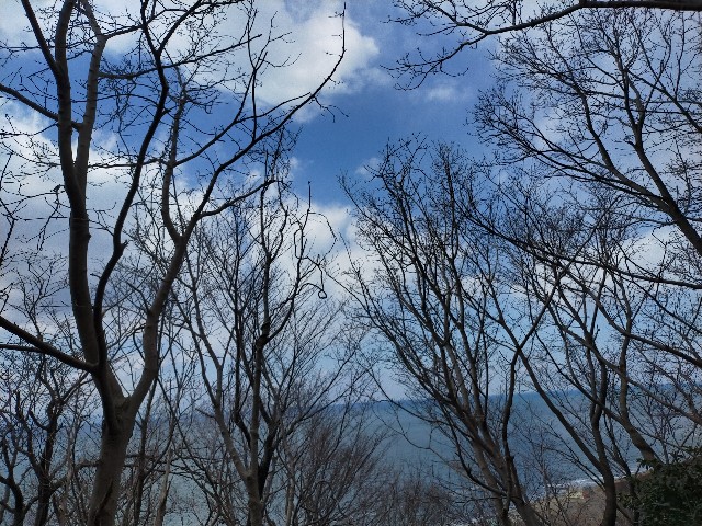 f:id:fruitmix:20220405014513j:image
