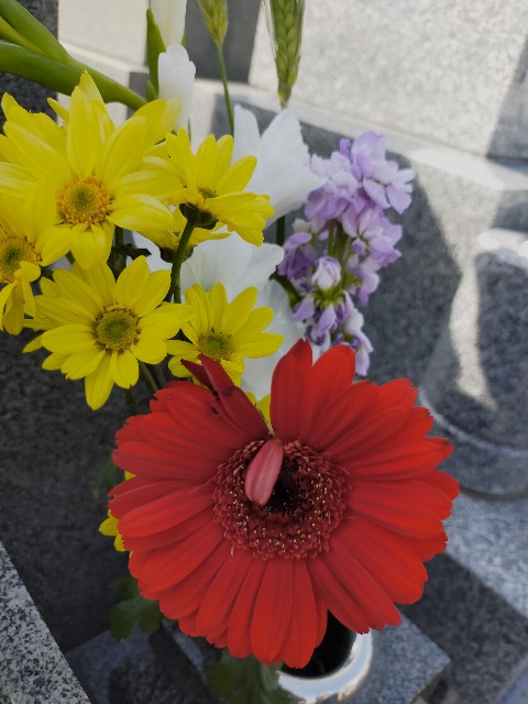f:id:fruitmix:20220410232956j:image