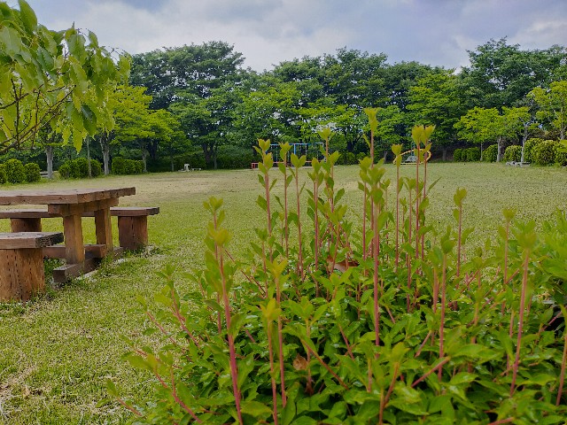f:id:fruitmix:20220608005525j:image
