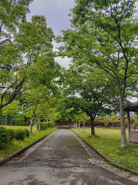 f:id:fruitmix:20220608005654j:image