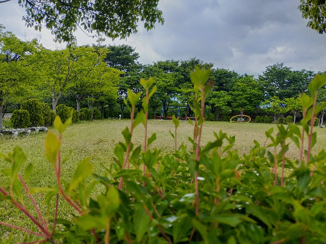 f:id:fruitmix:20220608010405j:image