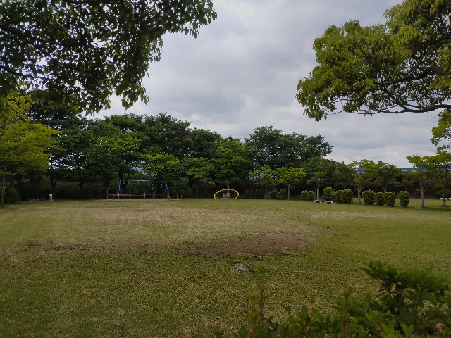 f:id:fruitmix:20220608010906j:image